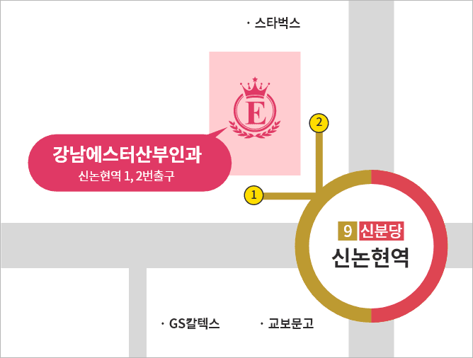 강남에스터